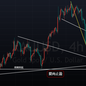 ����ֹӯ�����״�܊�шF�磬�S����ՇLԇ�࣡