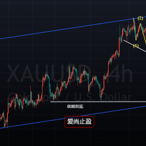 ����ֹӯ���S��̽���߻�����1763�ײ��Ѵ_�J��