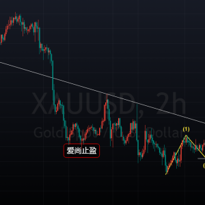 ����ֹӯ���S����ʎ��ͻ�ƣ����γւ}�����ģ�