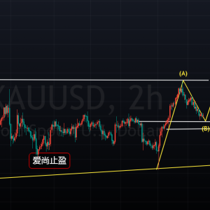 ����ֹӯ���S�������߻��䣬������ɿ��m�q��