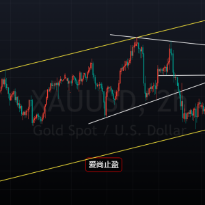 ����ֹӯ���S���B����������ՃȻس���Ͷ࣡