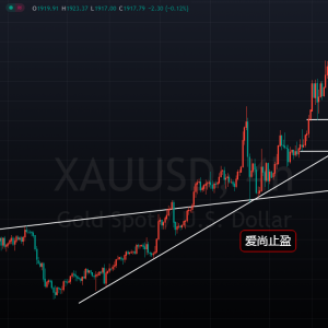 ����ֹӯ���S���B�����գ����ʛQ�h���P�I��