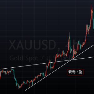 ����ֹӯ��������Ϣѥ����أ��S��������̽�׻�����