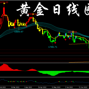 �Y�������������L��,�S��̾�����ָ���ޏͣ�